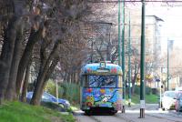 Imagine atasata: IMG_0057.JPG